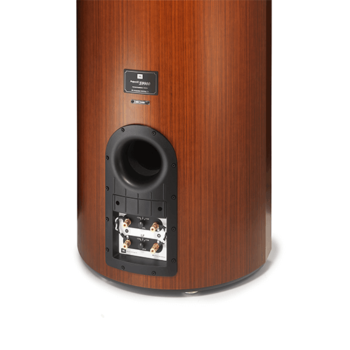 Project K2 S9900 Separate Klemmen für Niederfrequenz und Hochfrequenz auf der Rückseite. - Image